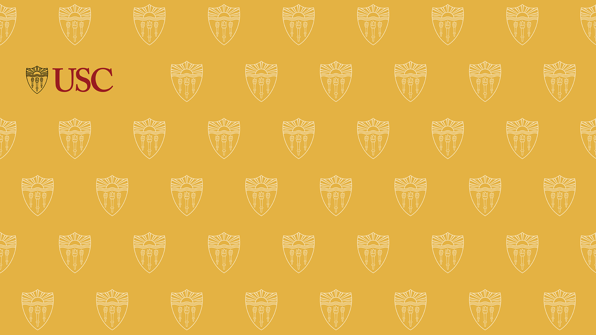 zoom-backgrounds-usc-brand-and-identity-guidelines